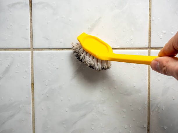 Best Toxic Mold Removal  in Lebanon, MO