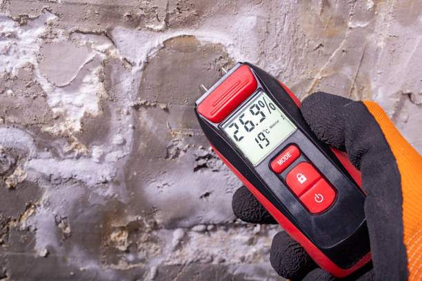 Home Mold Removal in Lebanon, MO